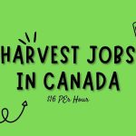 Harvest Jobs in Canada CA.00 Per Hour