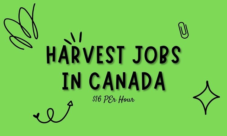 labourer, fruit farming , Harvest Jobs in Canada CA$16.00 Per Hour