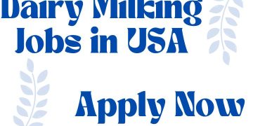 Dairy Milking Jobs in USA