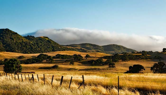 Ranch Laborer in California