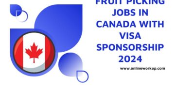Fruit Picking Jobs in Canada With Visa Sponsorship 2024