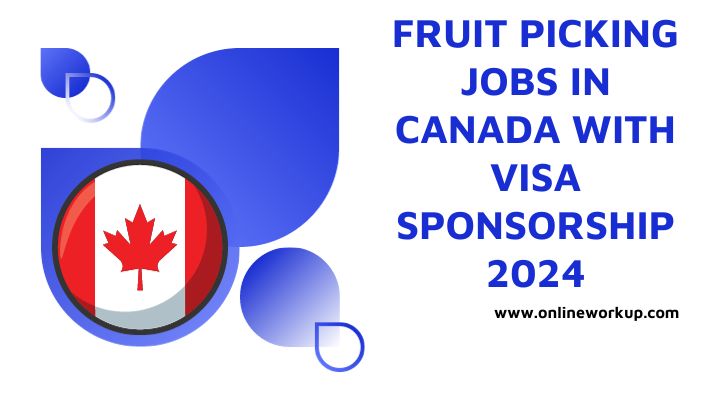 Fruit Picking Jobs in Canada With Visa Sponsorship 2024