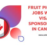 Fruit Picking Jobs With Visa Sponsorship in Canada