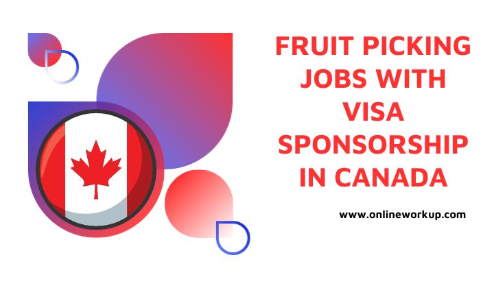 Fruit Picking Jobs With Visa Sponsorship in Canada