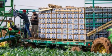 Farm Workers on Horticulture Properties