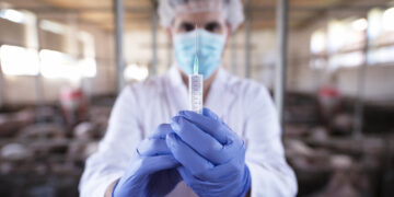 Veterinarians at the CFIA