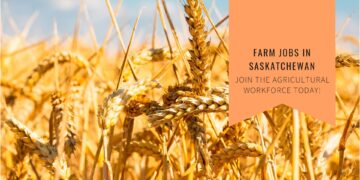 Farm Jobs in Saskatchewan Canada For Foreigners  with LMIA