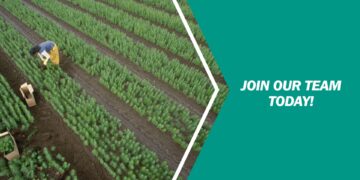 Farmworkers and Laborers, Crop, Nursery, and Greenhouse-Seasonal Job in USA