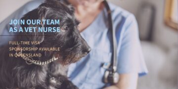 Full Time Vet Nurse Job in Australia Visa Sponsorship Opportunity