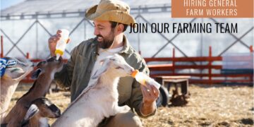 General Farm Worker – livestock in Saskatchewan Canada For Foreigners with LMIA