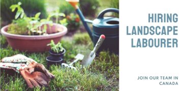 Landscape Labourer Job in Canada For Foreigners with LMIA