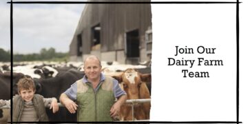 Dairy Farm Workers Job in Canada For Foreigners with LMIA