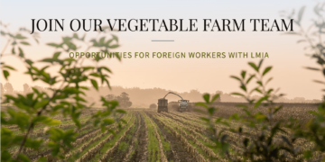 Vegetable Farm Workers Job in Canada For Foreigners with LMIA