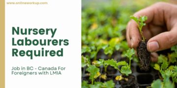 Nursery Labourers Required in BC – Canada For Foreigners with LMIA