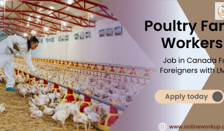 Poultry Farm Workers Job in Canada For Foreigners with LMIA Poultry Farm Workers Job in Canada For Foreigners with LMIA