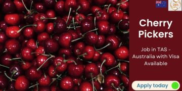 Cherry Pickers Required in TAS – Australia with Visa Sponsorship