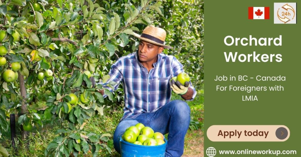 Orchard Workers Needed in BC - Canada For Foreigners with LMIA