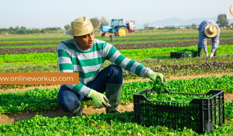 Seasonal Agricultural Worker Program (SAWP) – Work in Canada Seasonal Agricultural Worker Program (SAWP) – Work in Canada
