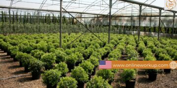 Agricultural Nursery Worker – Seasonal Job in USA