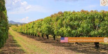 Farm-Seasonal Jobs in USA