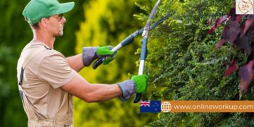 Landscape Gardener Job in New Zealand with Visa Sponsorship