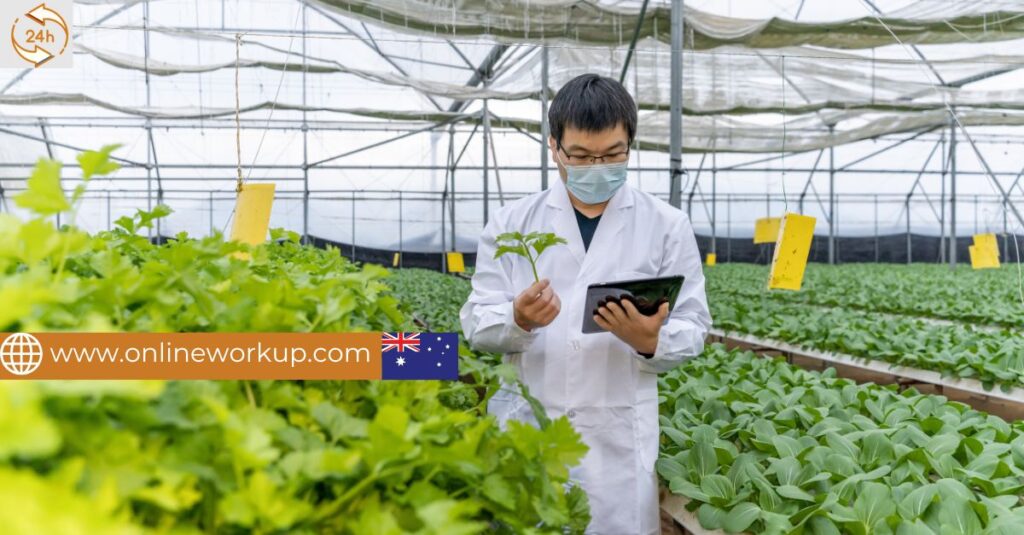 The demand for skilled professionals in the Australian agriculture sector, particularly in Victoria (VIC), drives high-value keyword searches, often combining specific roles with migration intent. Employers are highly focused on attracting candidates for positions like Precision Agricultural Technician Jobs and Agronomy Technical Officer Australia, often offering a direct Skilled Visa 482 Agriculture VIC pathway. These roles are frequently sought through the Regional Visa Sponsorship Australia scheme, which can lead to the ultimate goal of an Agricultural Technician PR Pathway (Permanent Residency), sometimes indexed by the specific occupation code, ANZSCO 311111 visa sponsorship, to find Visa Sponsored Agricultural Jobs Australia across sectors like the Dairy Technician Visa Sponsorship VIC sector.