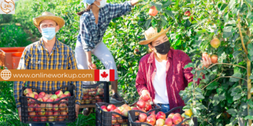 General Farm Labourers Wanted in Canada – LMIA Approved for Foreigners