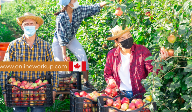 General Farm Labourers Wanted in Canada – LMIA Approved for Foreigners